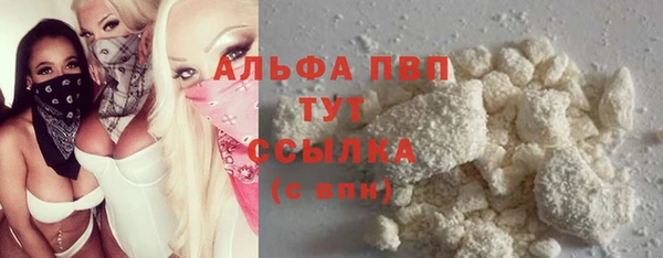 ECSTASY Покров