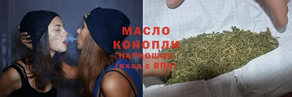 индика Богородицк