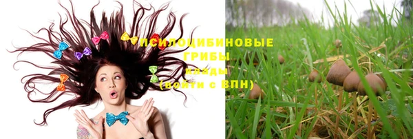 скорость Бородино
