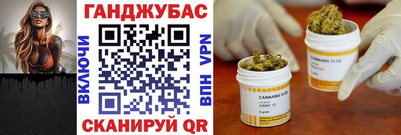 сколько стоит  Городовиковск  Конопля ГИДРОПОН 